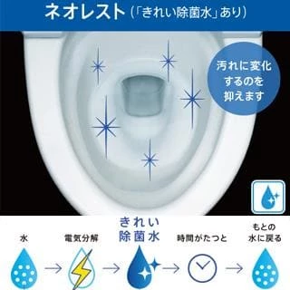 便器きれい